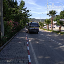 фото из отзыва ID 1743101