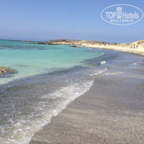 фото из отзыва ID 1743301