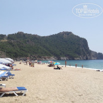 фото из отзыва ID 1743312