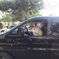 фото из отзыва ID 1743312