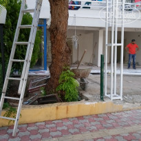 фото из отзыва ID 1743393