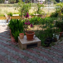 фото из отзыва ID 1743393