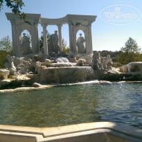 фото из отзыва ID 1743408