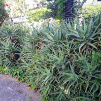 фото из отзыва ID 1743451