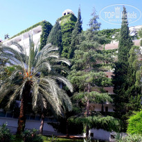 фото из отзыва ID 1743451