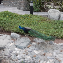 фото из отзыва ID 1743471