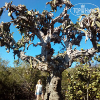 фото из отзыва ID 1743556