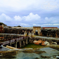 фото из отзыва ID 1743556