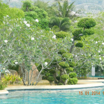 фото из отзыва ID 1743608