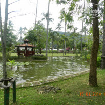 фото из отзыва ID 1743608