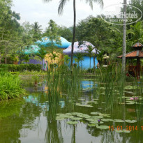 фото из отзыва ID 1743608