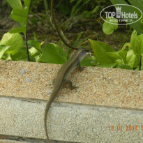 фото из отзыва ID 1743608