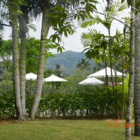 фото из отзыва ID 1743608