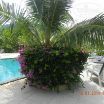 фото из отзыва ID 1743608