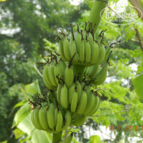 фото из отзыва ID 1743608