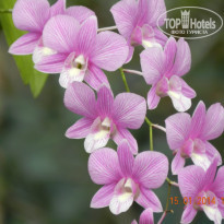 фото из отзыва ID 1743608