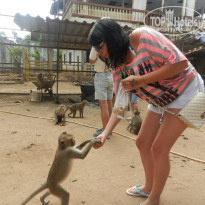 фото из отзыва ID 1743633