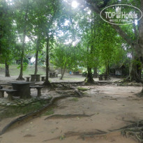 фото из отзыва ID 1743633