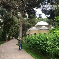 фото из отзыва ID 1743750