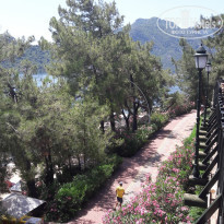 фото из отзыва ID 1743848