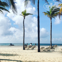 фото из отзыва ID 1743931