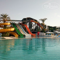 фото из отзыва ID 1744118