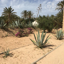 фото из отзыва ID 1744119