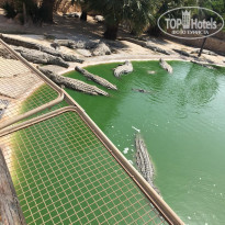 фото из отзыва ID 1744119