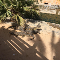 фото из отзыва ID 1744119