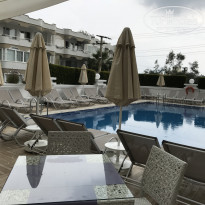 фото из отзыва ID 1744277