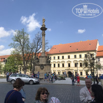 фото из отзыва ID 1744303