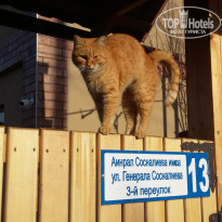 фото из отзыва ID 1744487