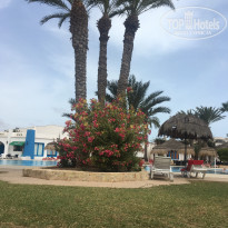 фото из отзыва ID 1744549