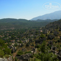 фото из отзыва ID 1744690