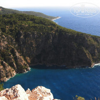 фото из отзыва ID 1744690