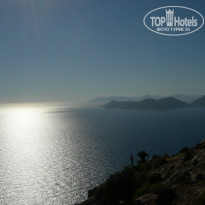 фото из отзыва ID 1744690