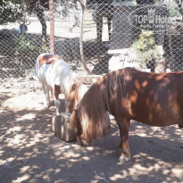 фото из отзыва ID 1744690