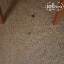 фото из отзыва ID 1744698