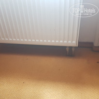 фото из отзыва ID 1744698