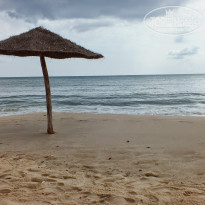 фото из отзыва ID 1744831