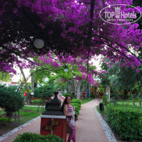 фото из отзыва ID 1744906