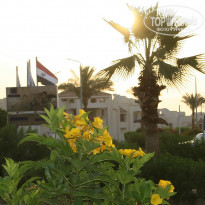 фото из отзыва ID 1745136