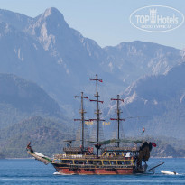 фото из отзыва ID 1745200