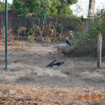 фото из отзыва ID 1745225