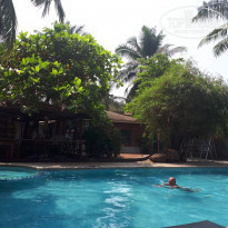 фото из отзыва ID 1745225