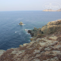 фото из отзыва ID 1743250