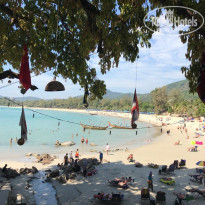 фото из отзыва ID 1745355