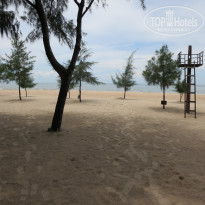 фото из отзыва ID 1745592