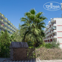 фото из отзыва ID 1745693