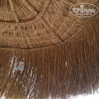 фото из отзыва ID 1745787